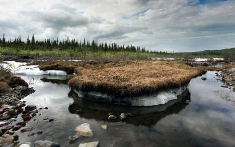 La fonte du permafrost menace de relâcher des microbes et du carbone | Biodiversité | Scoop.it