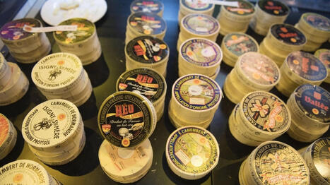 Face &agrave; la s&eacute;cheresse, les fromages, beurres, et cr&egrave;mes AOP et IGP en qu&ecirc;te d&rsquo;une nouvelle recette - Ouest France [Abonn&eacute;s] | Agriculture en Pays de la Loire | Scoop.it