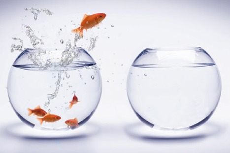 Leadership: Challenging The Status Quo | 21st Century Learning and Teaching | Scoop.it