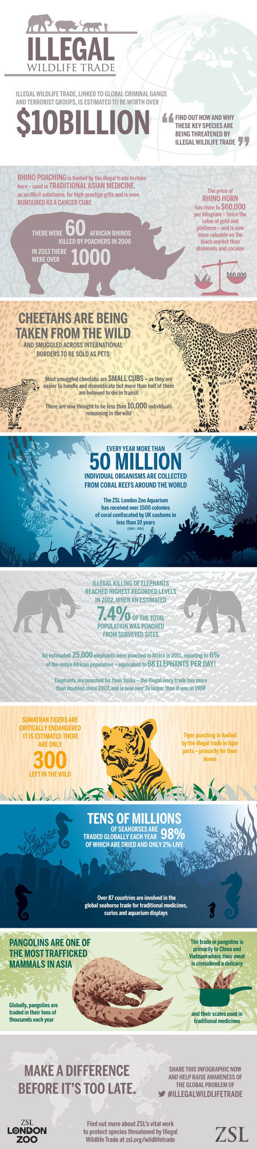 Infographic: Illegal Wildlife Trade | GarryRogers Nature Conservation