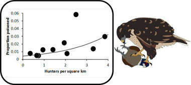 The impact of lead poisoning from ammunition sources on raptor populations in Europe - ScienceDirect | Biodiversité | Scoop.it