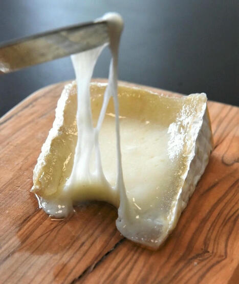 Un rapport parlementaire juge la fermentation de précision prometteuse | AGROALIMENTAIRE | Scoop.it