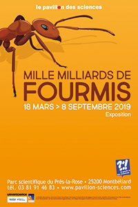 Mille milliards de fourmis - Du 18 mars au 8 septembre 2019 à Montbéliard (Doubs) | GREENEYES | Scoop.it