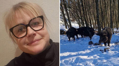 Kocken Marie, 51, tog hem potatisskal &ndash; blev avskedad | 1Uutiset - Lukemisen t&auml;hden | Scoop.it