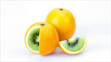 Don't Try to Be a Publisher and a Platform at the Same Time - blogs.hbr.org (blog) | Peer2Politics | Scoop.it