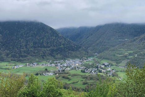 La préfecture des Hautes-Pyrénées autorise la capture de l'ours Goiat pour lui mettre un collier GPS | Vallées d'Aure & Louron - Pyrénées | Scoop.it