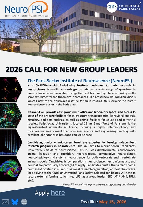 Call for new group leaders in 2026 at the Paris-Saclay Institute of Neuroscience | Life Sciences Universit&eacute; Paris-Saclay | Scoop.it