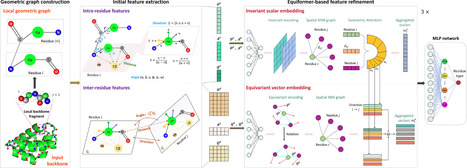 EquiDesign: a versatile computational framework for de novo protein sequence design | bft | RMH | Scoop.it
