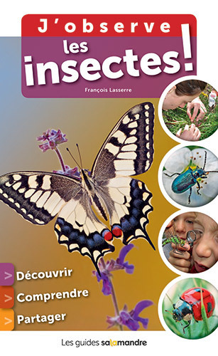 Maintenant, j'observe les insectes ! | Vari&eacute;t&eacute;s entomologiques | Scoop.it