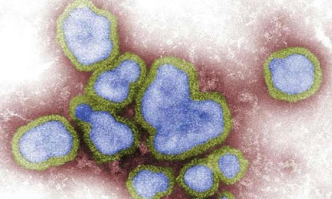 China Reports Human Case of H3N8 Bird Flu | Virus World | Scoop.it