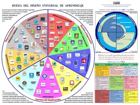 Diseño Universal de Aprendizaje – Rueda Dimensional | Infografía | Educación, TIC y ecología | Scoop.it
