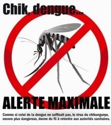 Chikungunya : 10 conseils pour bien se protéger | Variétés entomologiques | Scoop.it
