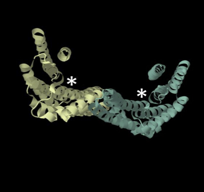 Molecular Plant-Microbe Interactions:  Journal - 0(ja): 14-3-3 proteins in plant-pathogen interactions (2015) | Publications from The Sainsbury Laboratory | Scoop.it