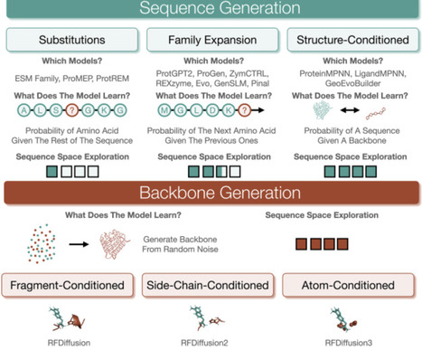 Generative artificial intelligence for enzyme design and biocatalysis | cin | RMH | Scoop.it