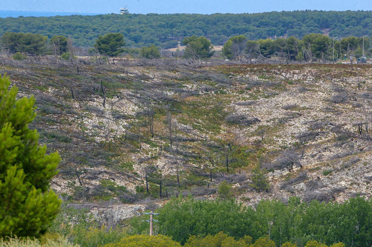 Des « avancées significatives », mais un retard législatif qui inquiète… ce qu'il faut retenir du rapport annuel du Haut Conseil pour le Climat