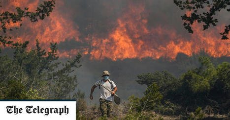 Rhodes residents say wildfires spread because they may not cut down trees | Climate Chaos News | Scoop.it
