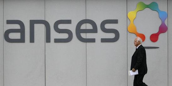 Alerte de l’Anses : des emballages contaminent nos aliments