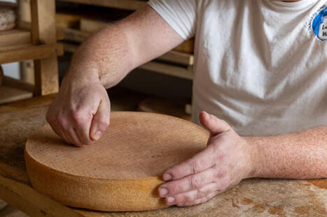 &Agrave; l&rsquo;occasion de la Journ&eacute;e nationale du fromage, impossible de r&eacute;sister &agrave; l&rsquo;envie de mettre &agrave; l&rsquo;honneur quelques tr&eacute;sors gourmands labellis&eacute;es Nancy Passions Sal&eacute;es. &Agrave; Nancy, le fromage se d&eacute;clin... | Nancy, Lorraine | Scoop.it