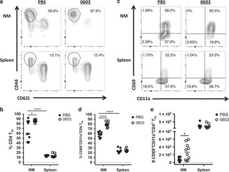 Generation of protective pneumococcal-specific nasal resident memory CD4 + T cells via parenteral immunization | Mucosal Immunity | Scoop.it