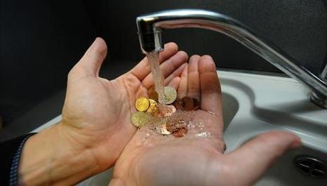 La Cour des comptes passe un savon aux agences de l’eau | Biodiversité | Scoop.it