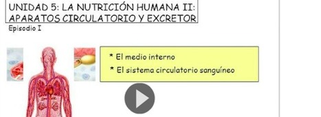 “Flippeando” la Biología, por Alberto Hernández (1/2) | TIC & Educación | Scoop.it