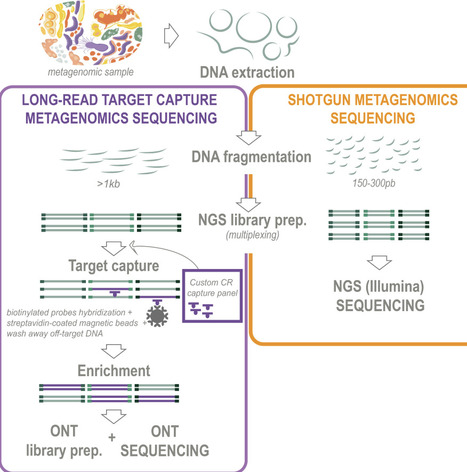 Unveiling the hidden biodiversity of microbial chemoreceptor genes in the rare biosphere | Brvm | RMH | Scoop.it