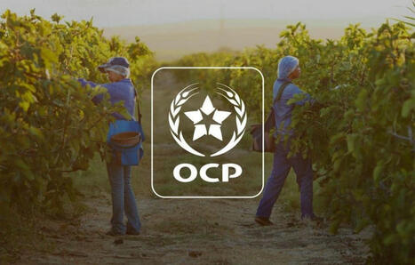 OCP Nutricrops dépasse les 5 millions de tonnes de production de «Triple Super Phosphate» (MAROC) | MED-Amin network | Scoop.it