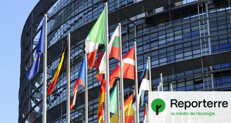 Mercosur&nbsp;: les eurod&eacute;put&eacute;s reportent la ratification du trait&eacute; | Prospectives et nouveaux enjeux dans l'entreprise | Scoop.it