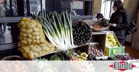 Agriculture et alimentation : et si on faisait court ? | Développement économique en milieu rural | Scoop.it