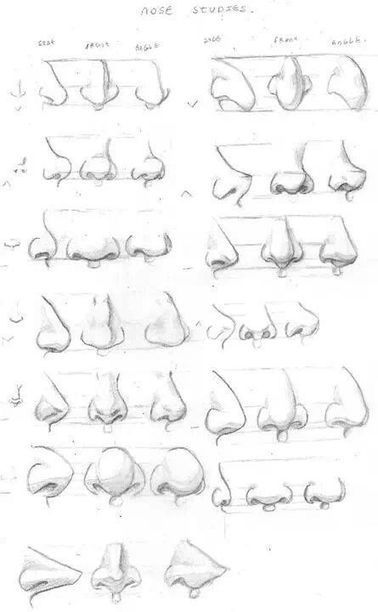 Nose Drawing Reference Guide | Drawing References and Resources | Scoop.it