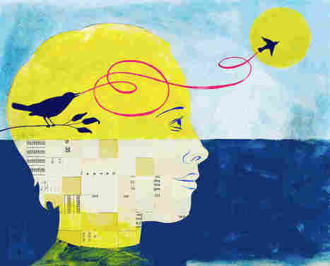 Why Teens Are Impulsive, Addiction-Prone, and Should Protect Their Brains // NPR Fresh Air | Health Education Resources | Scoop.it