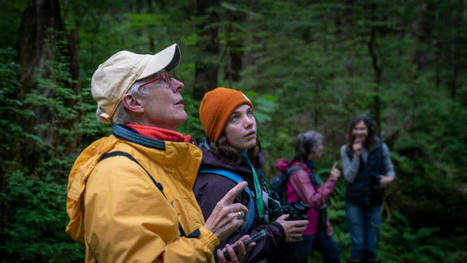 Birdwatchers spend more and stay longer than other Alaska tourists, study says | Tourisme Durable - Slow | Scoop.it