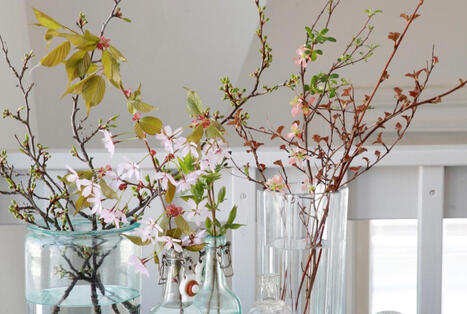 Ota talteen kev&auml;tleikkausten oksat &ndash; n&auml;in saat oksat kukkimaan | 1Uutiset - Lukemisen t&auml;hden | Scoop.it