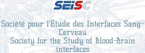 Congrès de la Société pour l’Étude des Interfaces Sang-Cerveau | Life Sciences Université Paris-Saclay | Scoop.it