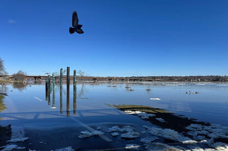 Communities across central and eastern Canada on flood alert | Gouvernance - Veille quotidienne | Scoop.it