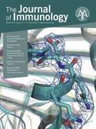 Angiogenic and Arthritogenic Properties of the Soluble Form of CD13 | The Journal of Immunology | Rheumatology-Rhumatologie | Scoop.it