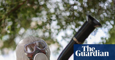 CLIMATE: Excruciating tropical disease can now be transmitted in most of Europe | DURABILITES | Scoop.it