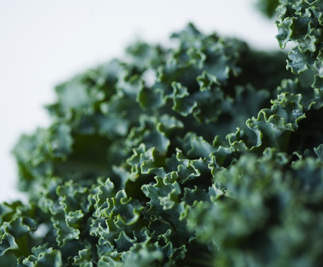This Is Your Brain On Kale | AIHCP Magazine, Articles & Discussions | Scoop.it