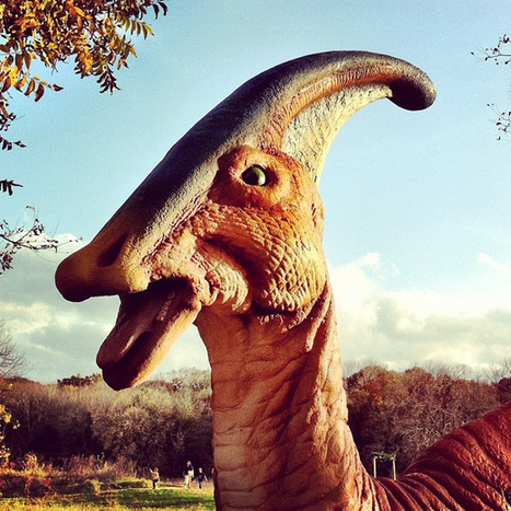 Dinosaurukset ja muut muinaiseläimet | 1Uutiset - Lukemisen tähden | Scoop.it
