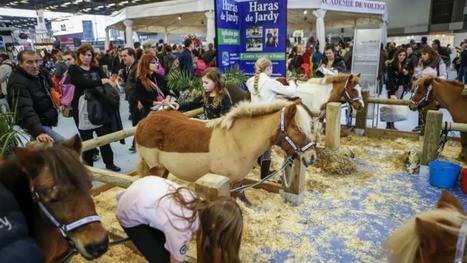 Le Salon du Cheval rassemble les passionnés à Paris | www.directmatin.fr | Salon du Cheval | Scoop.it