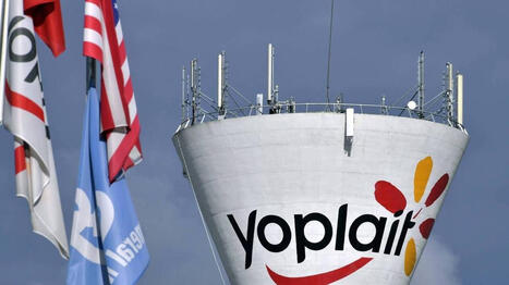 Avec d&eacute;sormais des produits en Mongolie, la marque Yoplait poursuit son d&eacute;veloppement &agrave; l&rsquo;international | Marketing International | Scoop.it