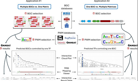 COMMBAT: a web platform for exploring expression control of biosynthetic gene clusters | nar | RMH | Scoop.it