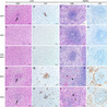 Virology News