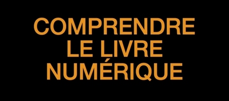 ebook | De la bibliothèque à la bibliosphère – Lorenzo Soccavo | -thécaires... | Avenir des Bibliothèques | Outils de Veille & de Curation | Scoop.it
