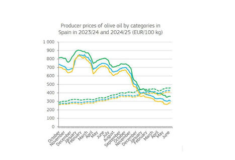 Aceite de oliva en la UE, entre la recuperación actual y la incertidumbre climática de 2026 | OLIVE NEWS | Scoop.it