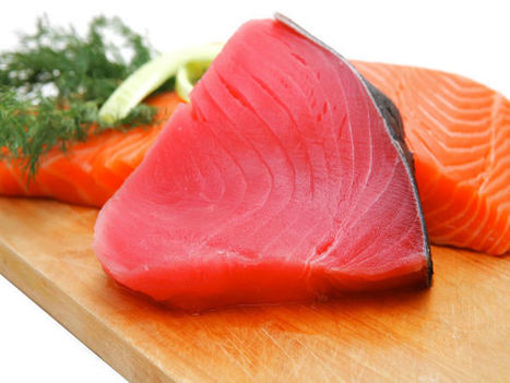 Health Benefits of Tuna Fish | HealthNFitness | Scoop.it
