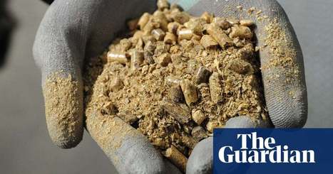 UK's biggest carbon capture project is step-change on emissions | Environment | The Guardian | Microeconomics: IB Economics | Scoop.it