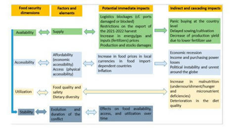 Impacts of the Russia-Ukraine War on Global Food Security: Towards More Sustainable and Resilient Food Systems? - Foods MDPI | Agriculture et Alimentation Durable Méditerranéenne | Scoop.it