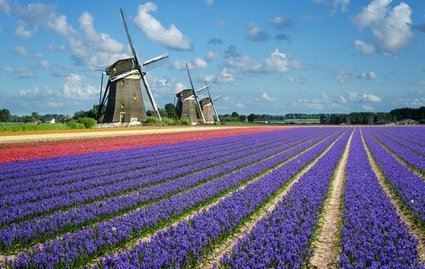 Netherlands Tourism will stop promoting to attract visitors | Tourisme Durable - Slow | Scoop.it