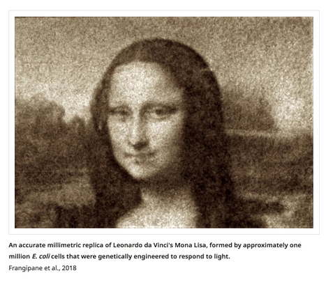 Mona Lisa made from bacteria: Light-engineered bacterial shapes could hold key to future labs-on-a-chip | Amazing Science | Scoop.it